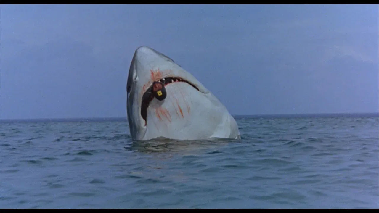 The Last Shark backdrop