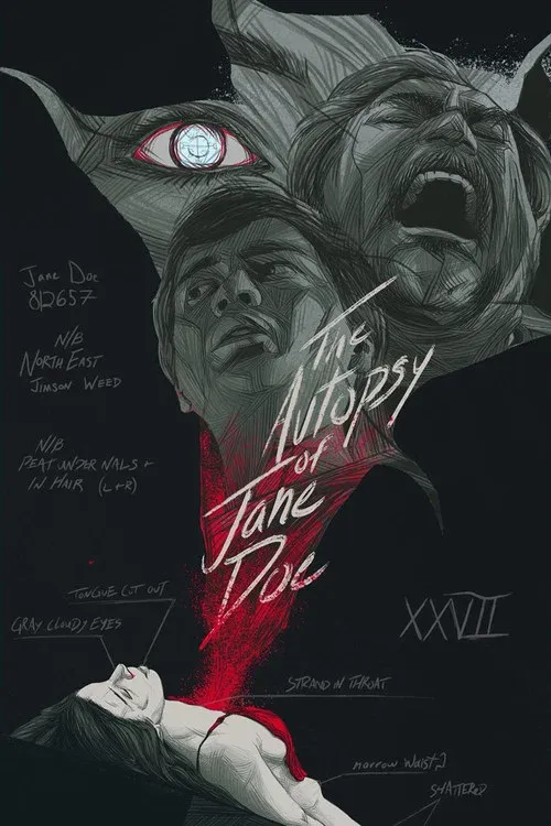 The Autopsy of Jane Doe (2016)