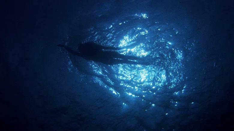 Jaws backdrop