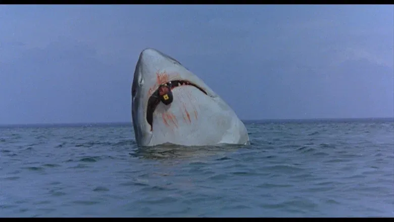 The Last Shark backdrop