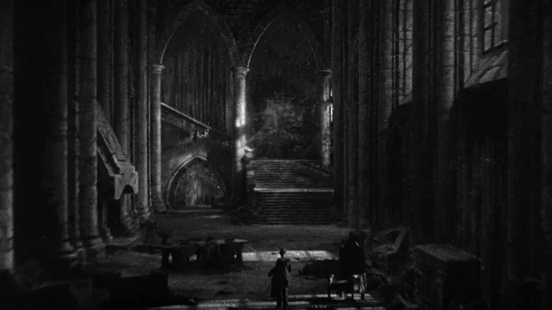Dracula backdrop